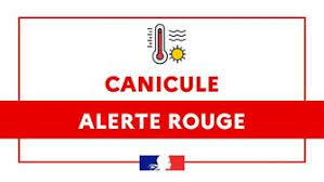 Alerte canicule