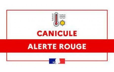 Alerte canicule